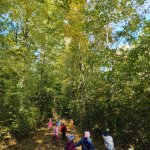 phoca_thumb_m_krteci a les 19 Fotogalerie